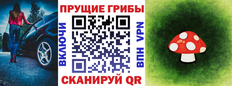 Псилоцибиновые грибы GOLDEN TEACHER  Тотьма 